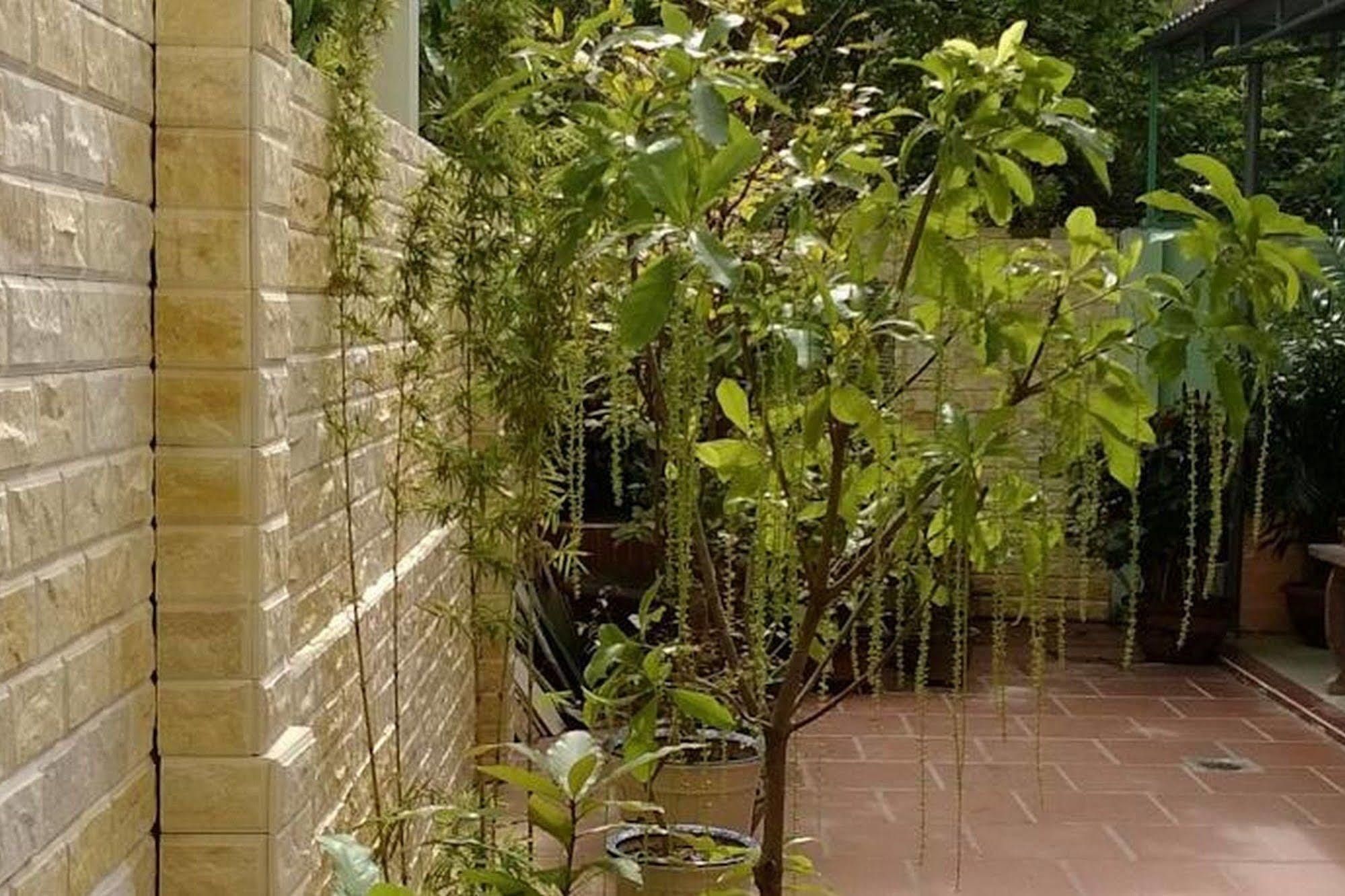 Hi Hợp Yến Homestay Hội An Ngoại thất bức ảnh